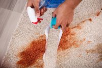 Flecken auf Teppich mit Schwamm reinigen